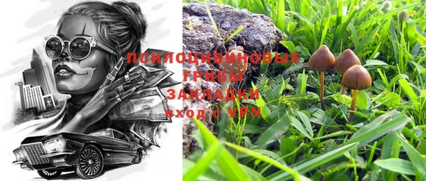 бошки Абдулино