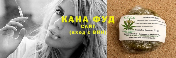 прущий лед Алзамай