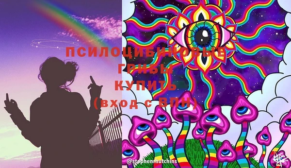 МДПВ Абинск