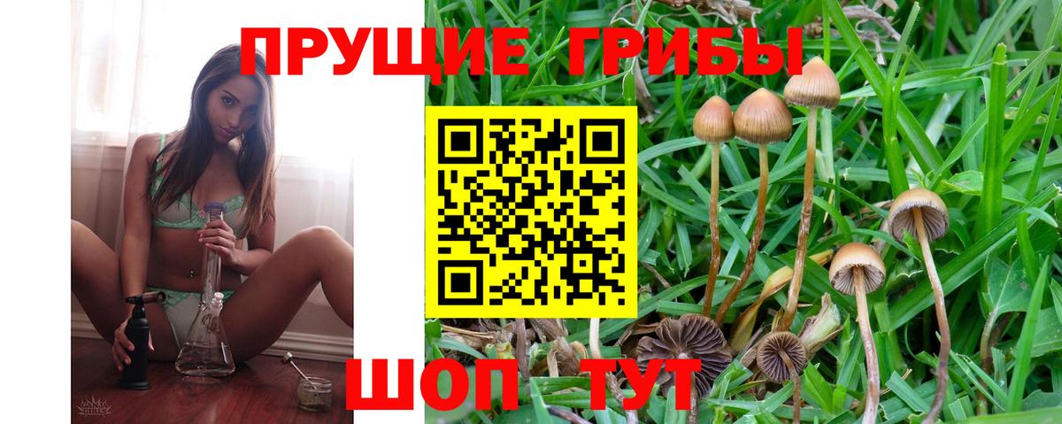 Псилоцибиновые грибы GOLDEN TEACHER  Вход с VPN  Балаково 
