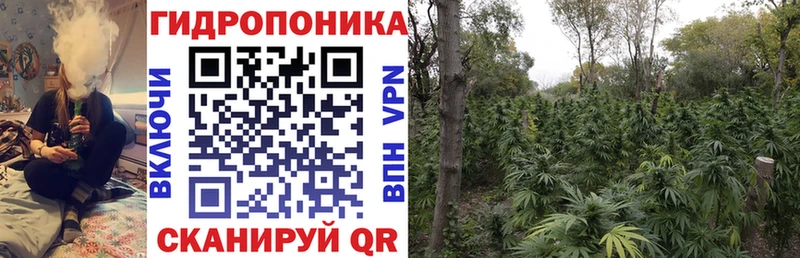 МЕГА ССЫЛКА  дарнет шоп  Балаково  Бошки Шишки тримм 
